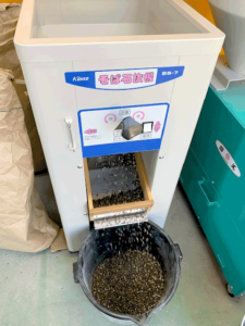 長瀞そば 石抜き工程
